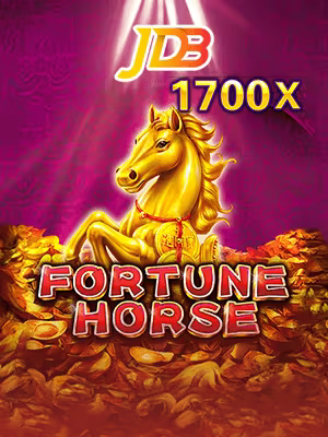 koin casino