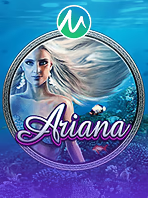 casino onlinr (Casino Online)